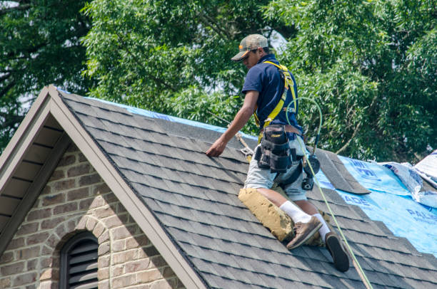 Best Roof Waterproofing Services  in Alto, GA